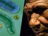 ТОП-10 от Science: «ископаемые» открытия российских ученых