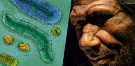 ТОП-10 от Science: «ископаемые» открытия российских ученых