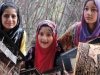 The Kashmir Diary The Kashmir Diary