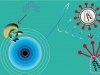 Targeting at RNA