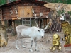 "Semi-Finished Mother-in-Law" With a Chain Saw. How Siberian Aborigines Combine the Old and the New
