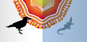 West Nile virus: around the world