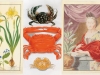The Vivid Colors of Merian The Vivid Colors of Merian
