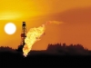 Oil is Global!