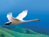 One Flew East, One Flew West... One Flew East, One Flew West...