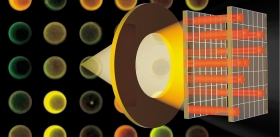 Biochips: Diagnosis Is a Matter of Technique!