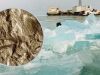 The Baikal Climate RECORD The Baikal Climate RECORD