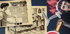 История с участием «тифозной Мэри»