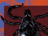 Chronic Lyme disease: nonexistent illness or wrong diagnosis?