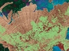 Пожары и гари сибирской тайги
