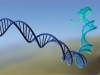 The Remedy for Genes The Remedy for Genes