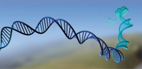 The Remedy for Genes