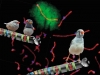 The story of the songbird chromosome
