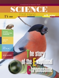 The story of the Exeptional Chromosome