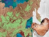 Wildfires and Burns of Siberian Taiga Wildfires and Burns of Siberian Taiga