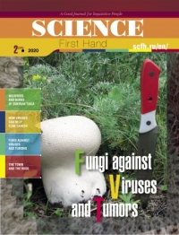 Fungi against Viruses and Tumors