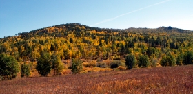 Литература