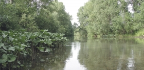 Библиография