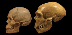 История неандертальцев и сапиенсов, написанная зубным камнем