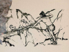 Чагырская пещера Алтая: первое знакомство с неандертальской общиной Чагырская пещера Алтая: первое знакомство с неандертальской общиной