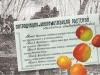 Интродукция растений – академическая «золушка»?