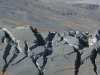 Сейсмическая мистерия, или «Теперь мы знаем, от чего постоянно содрогается Италия» Сейсмическая мистерия, или «Теперь мы знаем, от чего постоянно содрогается Италия»