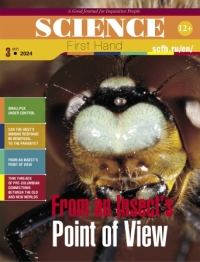 From an Insect’s Point of View