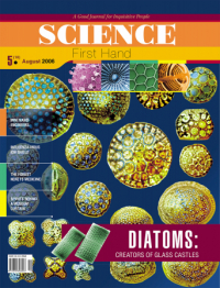 DIATOMS: Creators of Glass Castles