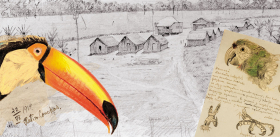 Genrikh Manizer: “It’s Decided! This Year I Am Embarking on a Global Journey” # Revisiting the Second Russian Expedition to South America after 110 Years (1914–1915)