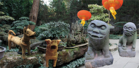 The town and the dogs (La ciudad y los perros): the Chinese version