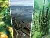 Экологический кризис на Байкале: ученые ставят диагноз
