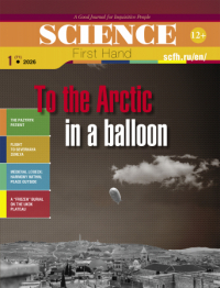 To the Arctic in a balloon