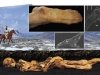 Жизнь и смерть «Алтайской принцессы» Жизнь и смерть «Алтайской принцессы»