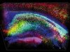Кристально прозрачная мысль