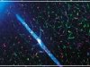 Сон «промывает» мозги Сон «промывает» мозги