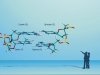 Комплементарные здоровью. Прошлое, настоящее и будущее антисмысловых технологий Комплементарные здоровью. Прошлое, настоящее и будущее антисмысловых технологий