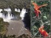 Игуасу – большая вода Игуасу – большая вода