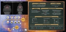 Обратные задачи естествознания и компьютерное моделирование