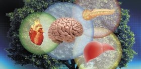 Regenerative Medicine: Searching for "Elixir оf Life"