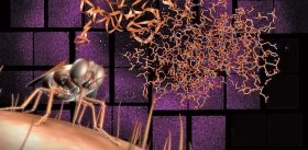 Russian Roots of the X-ray Laser
