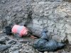 Quest for the Triassic. Photo Essay
