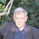 Седельников Вячеслав Петрович