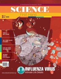 Influenza Virus: Intimate Life Details